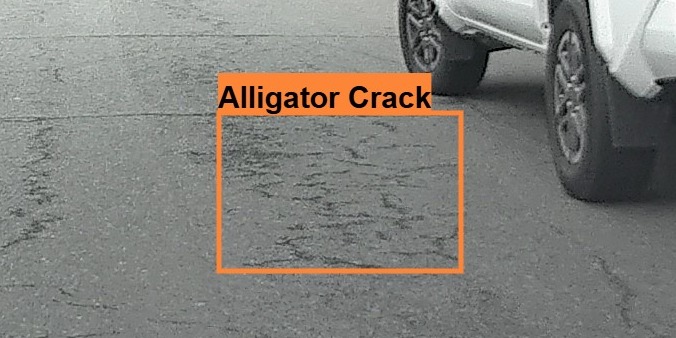 Alligator Crack